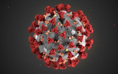 CORONAVIRUS (COVID-19), le misure per artigiani e PMI sotto i 6 dipendenti.