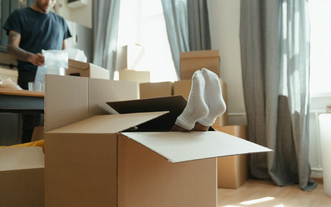 Dropshipping: serve la partita iva?