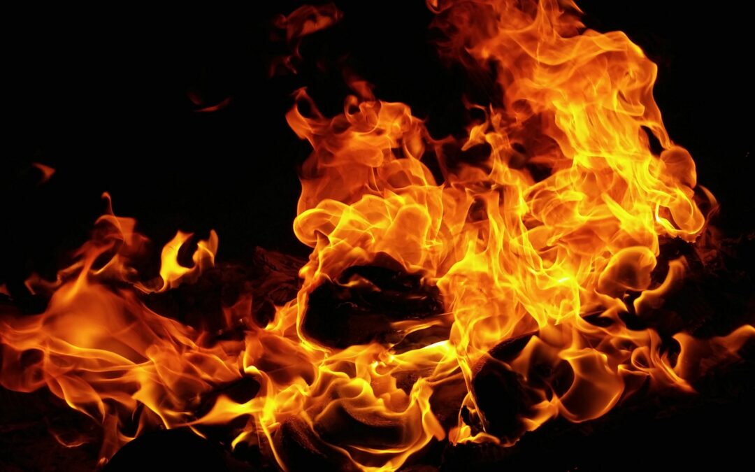 Che cos’è il burn rate della tua azienda?