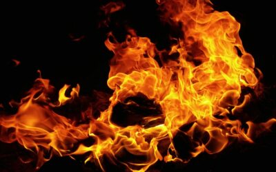 Che cos’è il burn rate della tua azienda?