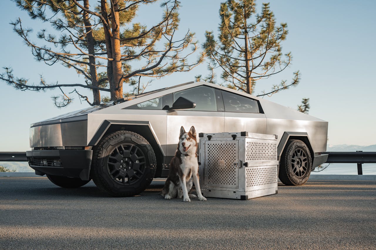 pexels-impact-dog-crates-1789722873-28468181 (2)
